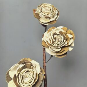 Handmade Sola Wood Rose Stems – Natural Dual-Tone Sola Wooden Flowers with Long Stems for Vase Décor, Wedding Arrangements & Home Decoration