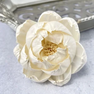 White Peony Sola Wood Flower – Handcrafted Natural Wooden Peony for Wedding, Bouquet & Home Décor