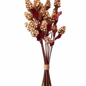 Handcrafted Dried Decorative Flower Bunch | Natural Sola Wood Floral Stems for Home Decor (Without Vase)