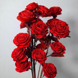 Handmade Sola Wood Rose Flower Bunch for Home Decor Natural Sola Wood Artificial Rose Flowers for Vase Decoration (Red)