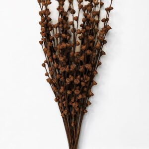 Artificial Sola Wood Buds Flowers Bunch for Home Decor & Gifting (Without Vase/Pot) (10, Brown)
