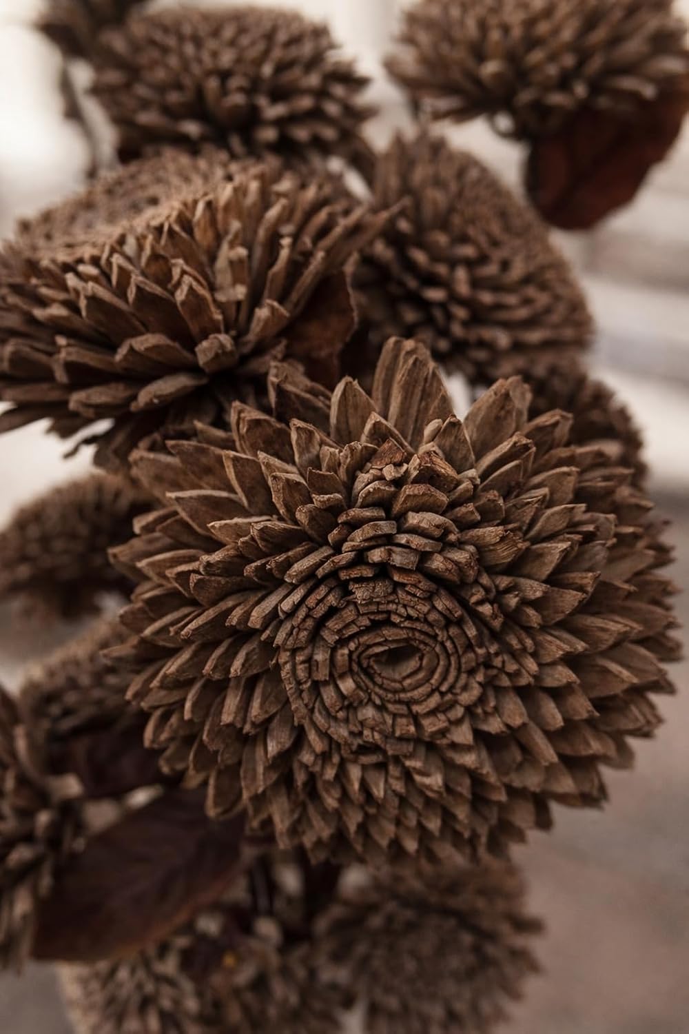 Handcrafted Sola Wood Artificial Flower Zinia Bouquet – Natural Decorative Flowers for Home Decor, Wedding & Vase Decoration (Available in Multicolour Variations) (Brown) - Image 3